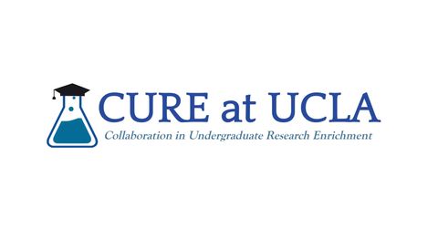 Collaboration in Undergraduate Research Enrichment at UCLA Logo