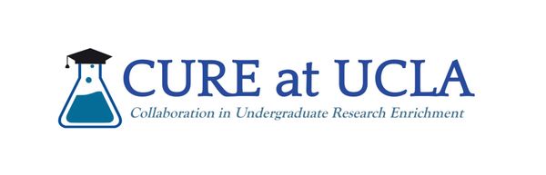 Collaboration in Undergraduate Research Enrichment at UCLA Logo