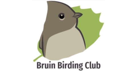 Bruin Birding Club Logo