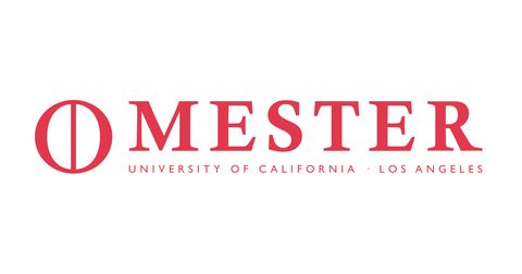 Mester  Logo